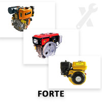 Ремонт всех моделей двигателей Forte