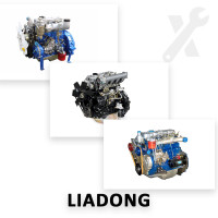 Ремонт усіх моделей двигунів Liadong