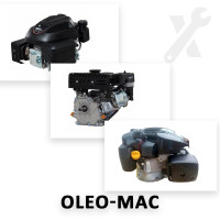 Ремонт усіх моделей двигунів Oleo-Mac