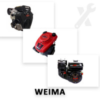 Ремонт усіх моделей двигунів Weima